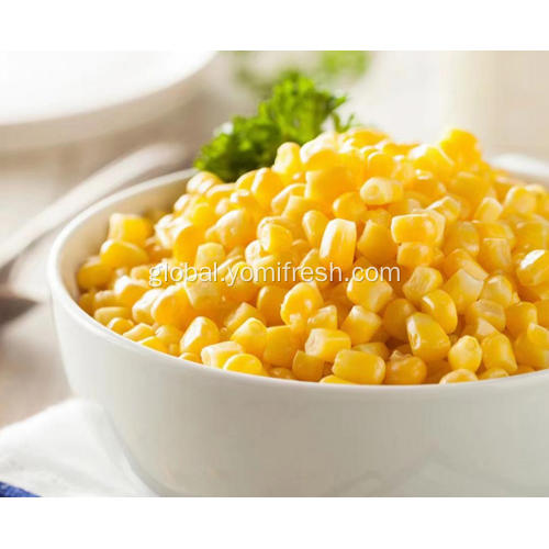 Fresh Corn Cob Sweet Corn Seeds Organic Factory